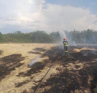 Schimbrile climatice afecteaz vegetația n Dmbovița