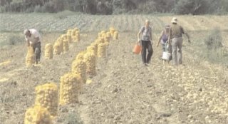 111 carnete de rentier agricol, vizate